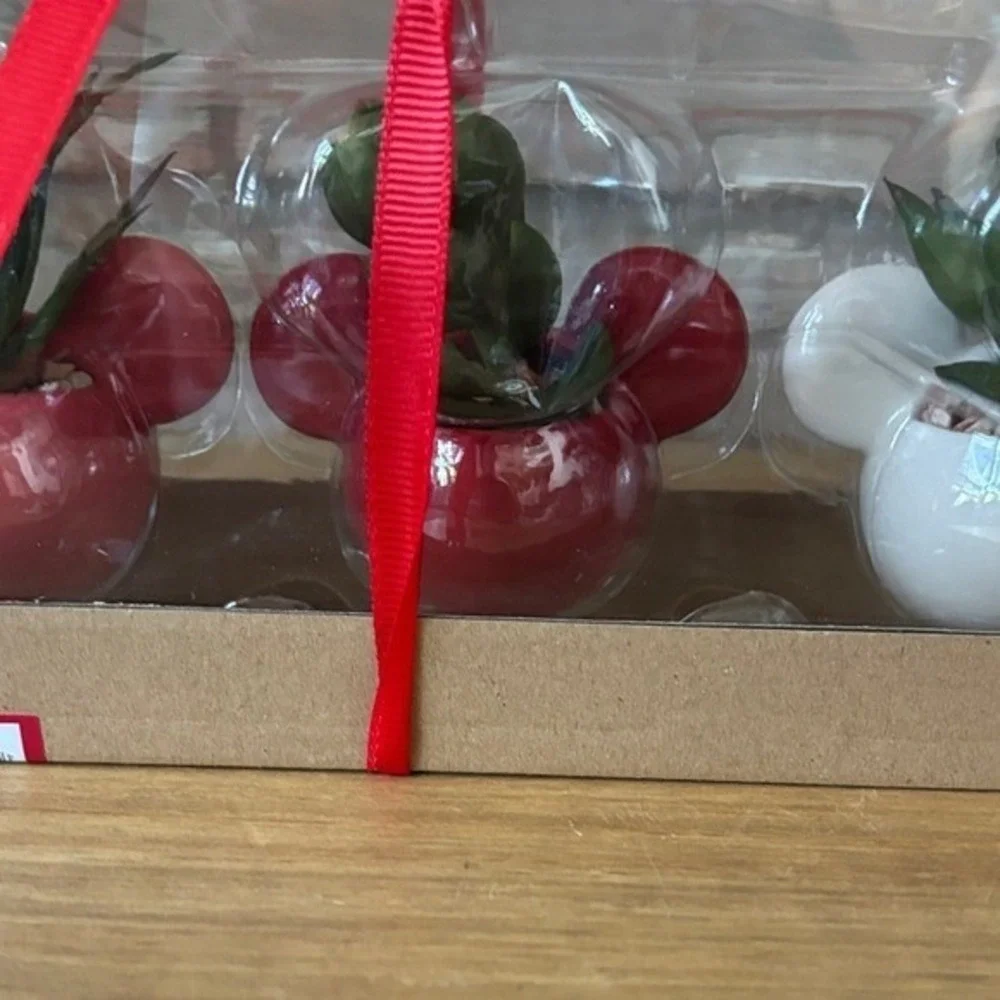 Celebrate Together Valentines Day Set of Three Mickey Mouse Planters w/Succulent